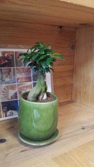 20170226_090516